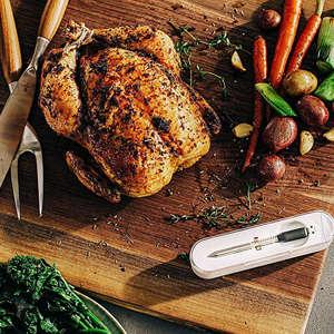 Θερμόμετρα Κρέατος & Ψησίματος
